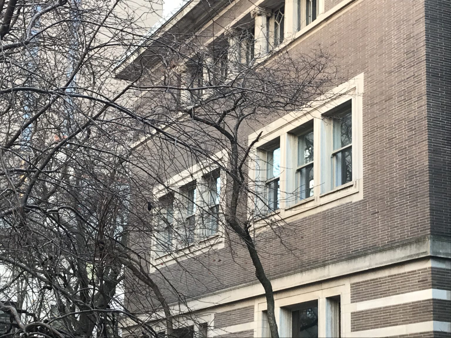 Albert F. Madlener House